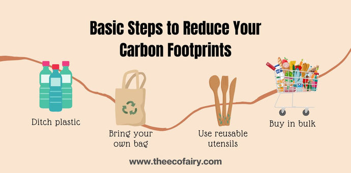 Basic Steps to Reduce Your Carbon Footprints