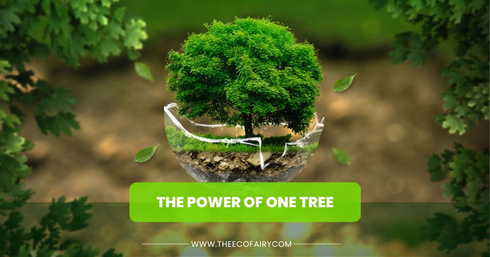 The Power of One Tree