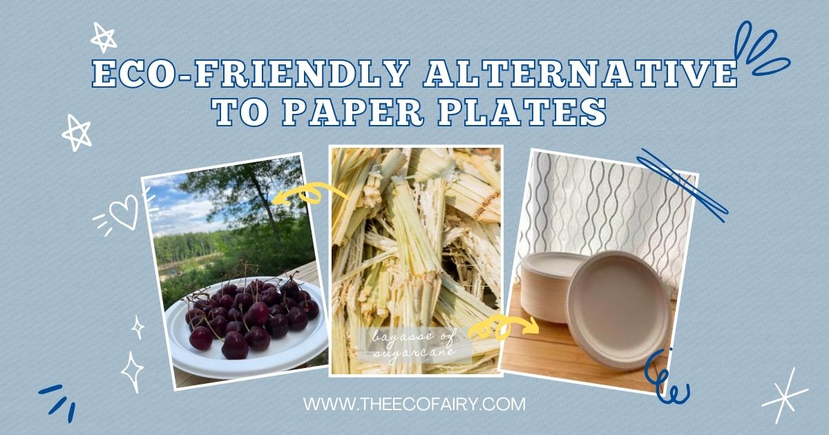 What are Eco friendly paper plates and why use them? - Ecotsy
