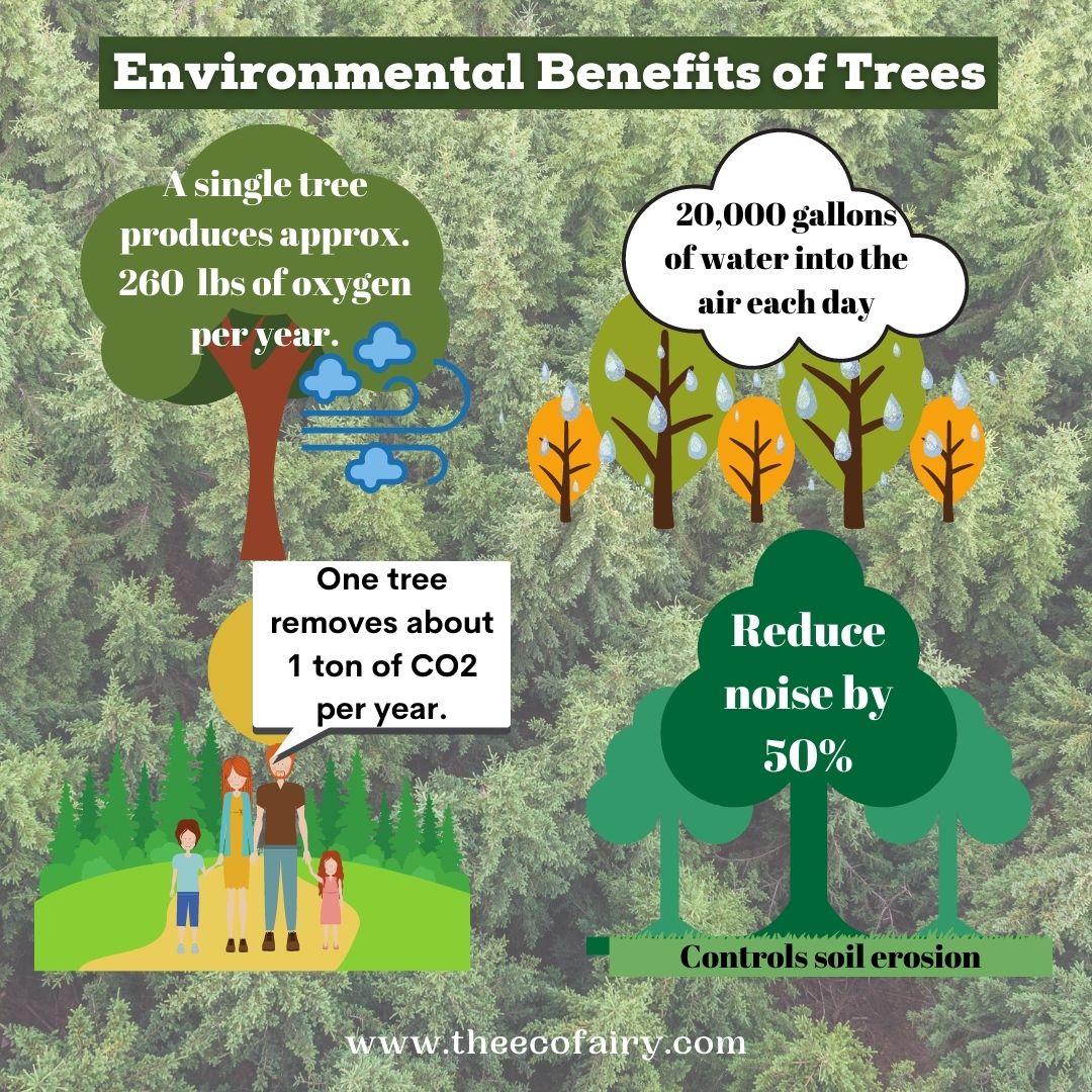 REASONS WHY TREES ARE SO IMPORTANT TO THE ENVIRONMENT The Eco Fairy