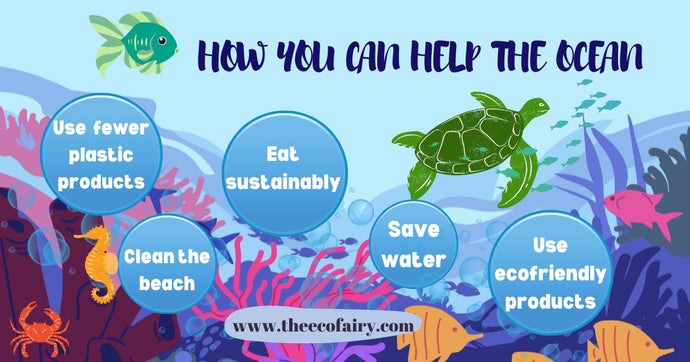 Six Ocean-Friendly Habits to Help Protect Marine Life