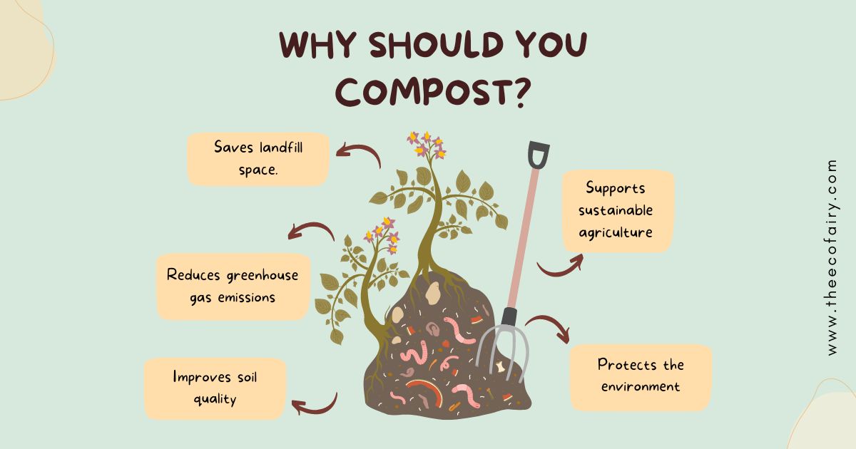 Why Should You Compost? &ndash; The Eco Fairy