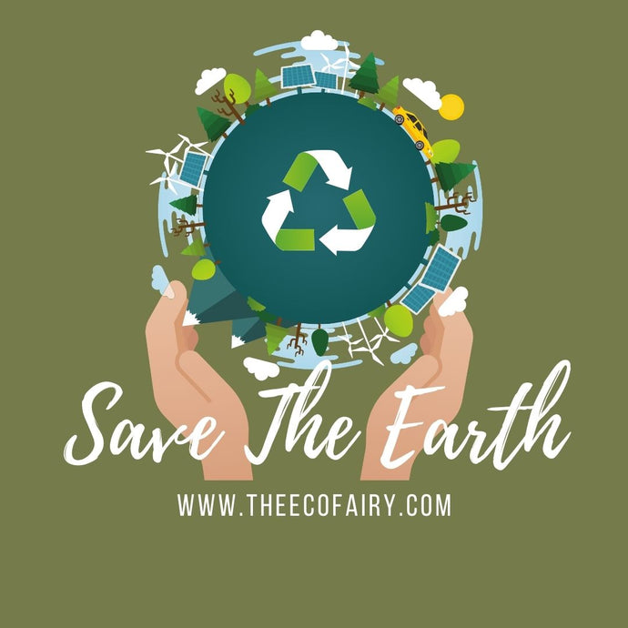 6 Things You Can Do to Help Save the Earth