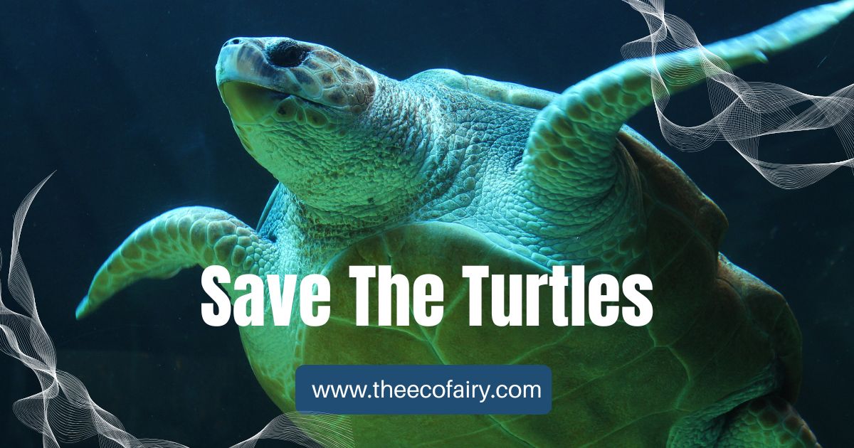 http://theecofairy.com/cdn/shop/articles/Save_The_Turtles_64ba5fc3-8976-47d9-a253-f685430c82d3.jpg?v=1690789253