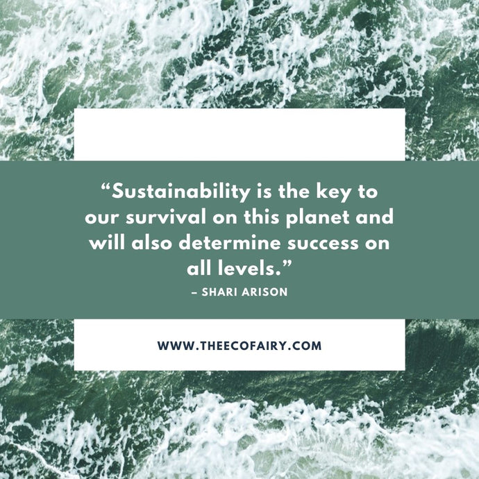 How to Live a Sustainable Lifestyle?