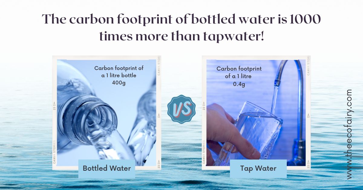 Spring water store vs tap water