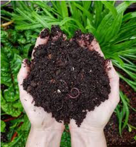 International Compost Awareness Week May 3-9, 2020