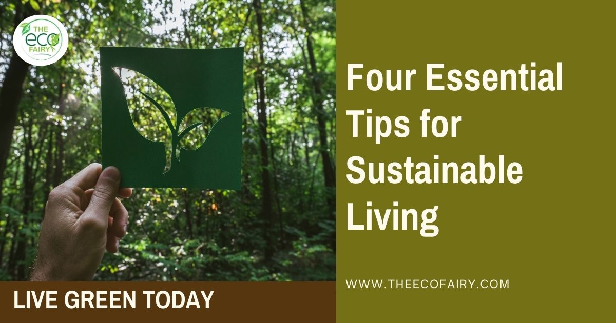 4 Green Eco Tips for Sustainable Living – The Eco Fairy