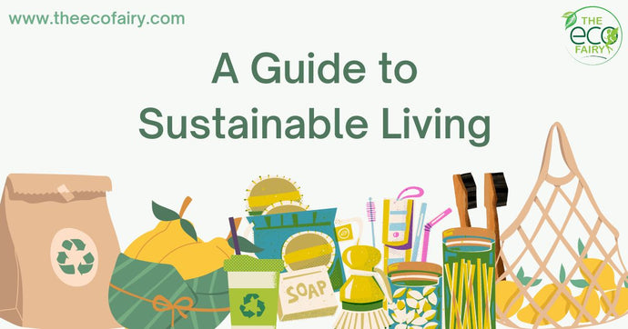 A Guide to Sustainable Living