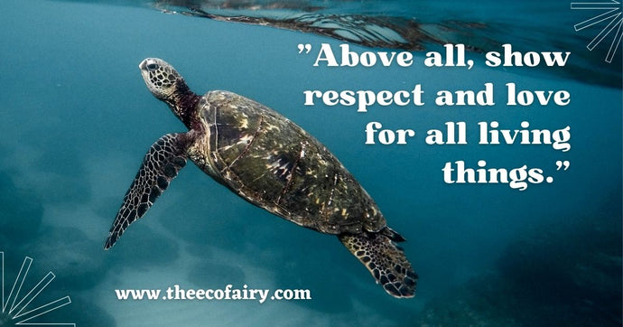 Compassion for All Living Beings