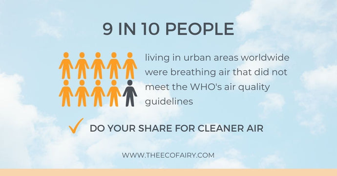 11 Things You Can Do for Cleaner Air