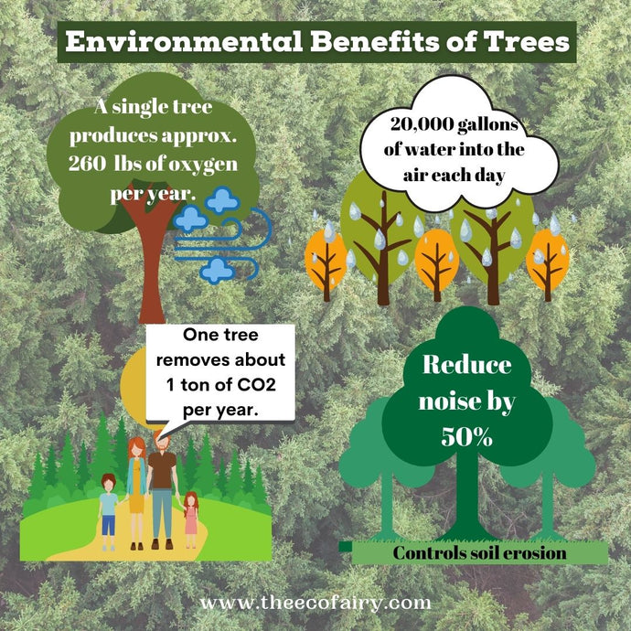 REASONS WHY TREES ARE SO IMPORTANT TO THE ENVIRONMENT