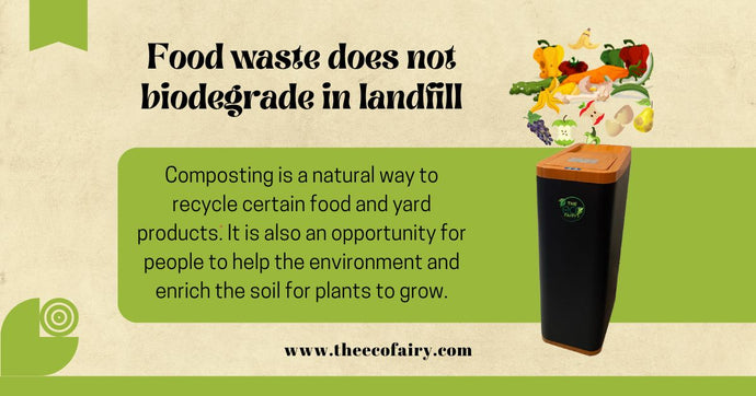 How Can Composting Impact the Environment?