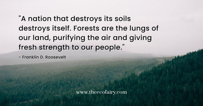 Why Forests Are Important