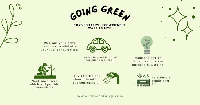 COST-EFFECTIVE, ECO-FRIENDLY WAYS TO LIVE