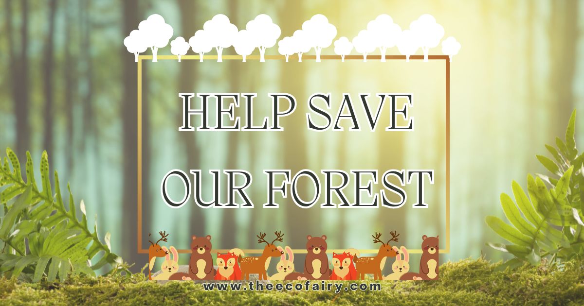 Example For Help Forest What Can You Do to Protect Forests? – The Eco Fairy