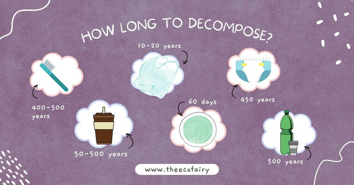 How Long To Decompose