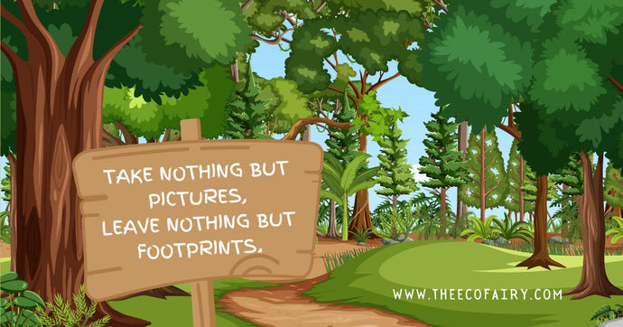 How to Make Your Travel More Sustainable