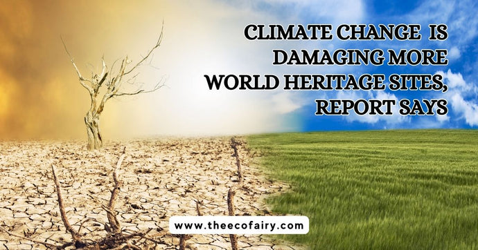 The Impact of Climate Change on World Heritage