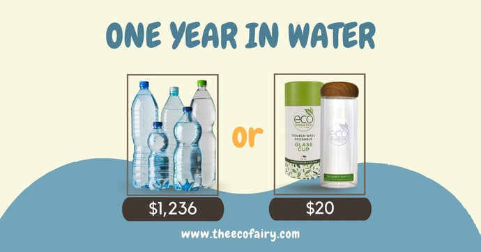 Making the Switch to Reusable Bottles