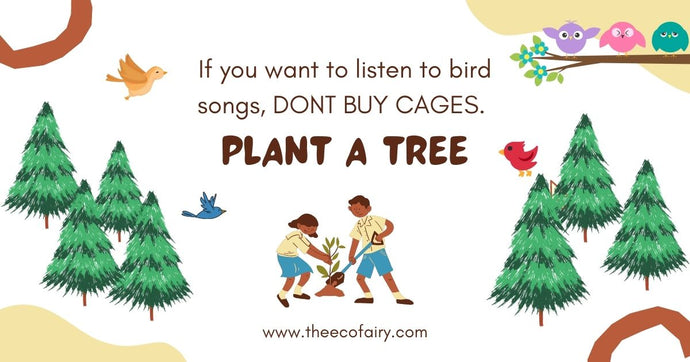Plant Trees to Attract Birds and Help Environment