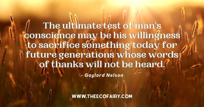 Preserving and Protecting the Environment for Future Generation