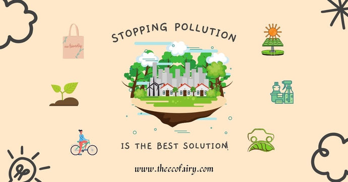 Tips for Cleaner Air and a Healthier Planet