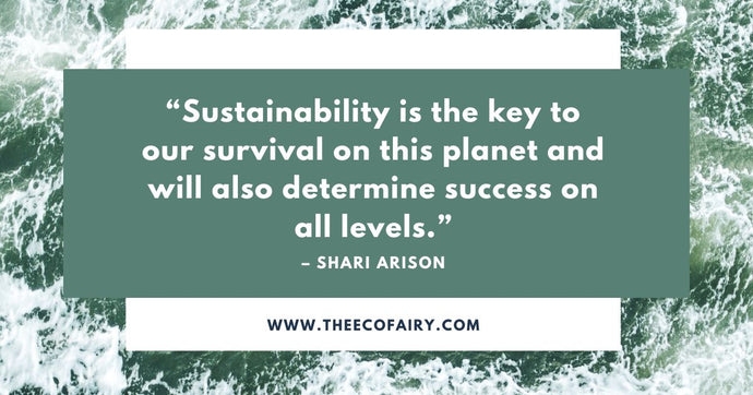 How to Live a Sustainable Lifestyle?