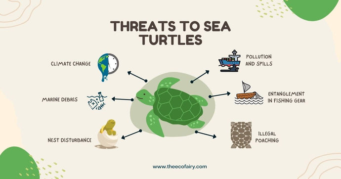 MAN-MADE THREATS TO SEA TURTLES