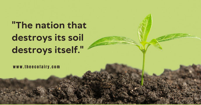 Stop Treating Soil Like Dirt