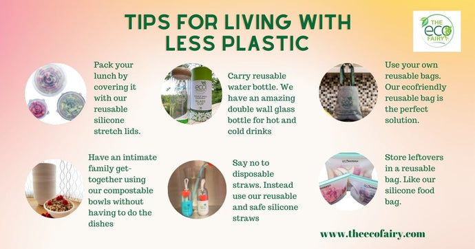 6 Easy Swaps to Start Your Plastic-Free Journey 🌱