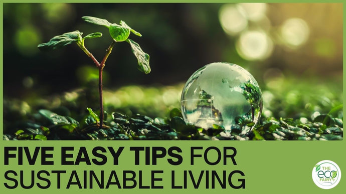 5 Sustainability Tips from Earth Day