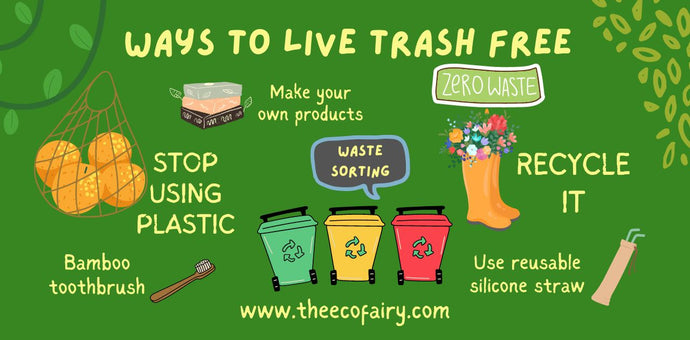Ways to Live Trash-Free & Adopt A Zero-Waste Lifestyle