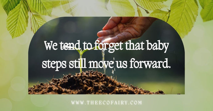 Baby Steps to Sustainable Living