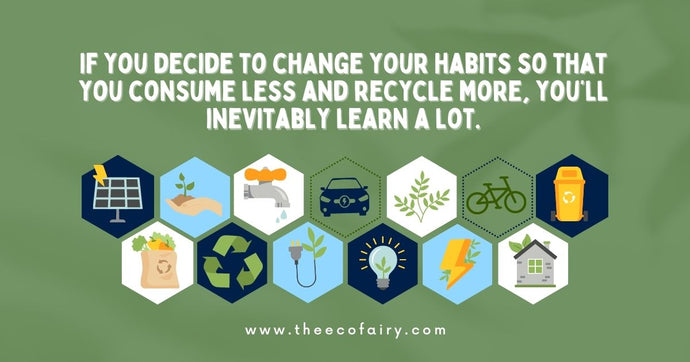 5 Unexpected Lessons that Being Eco-Friendly Can Teach You