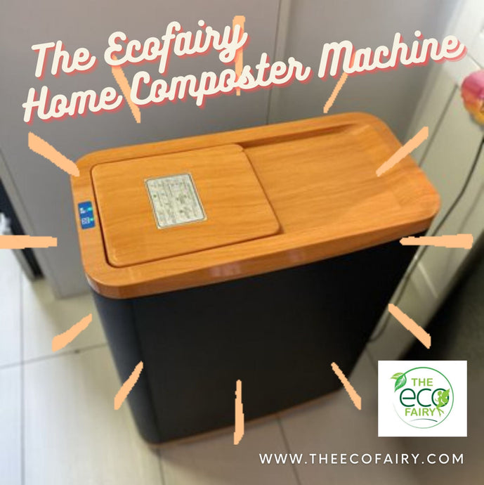 Stop Disposing Your Food Waste and Start Recycling