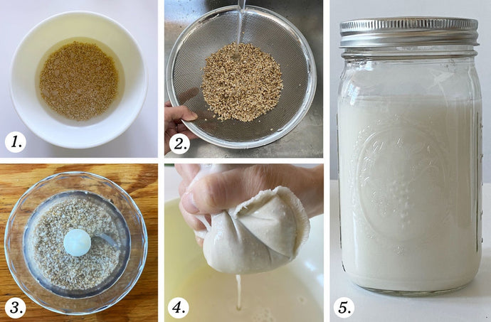 How to Make Dairy-Free Milk | The Ultimate Guide to Alternative Milk