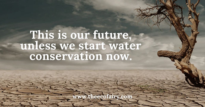 How to Effectively Conserve Water